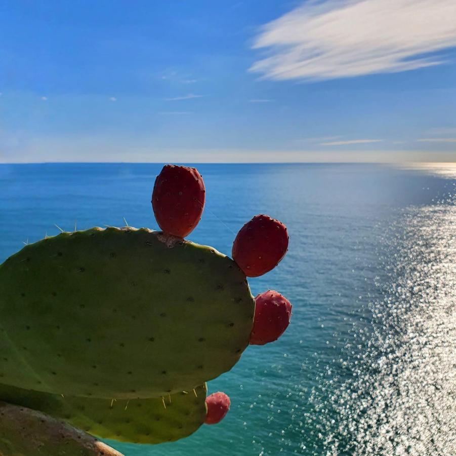 La Terrazza Sul Blu Appartement Corniglia Buitenkant foto