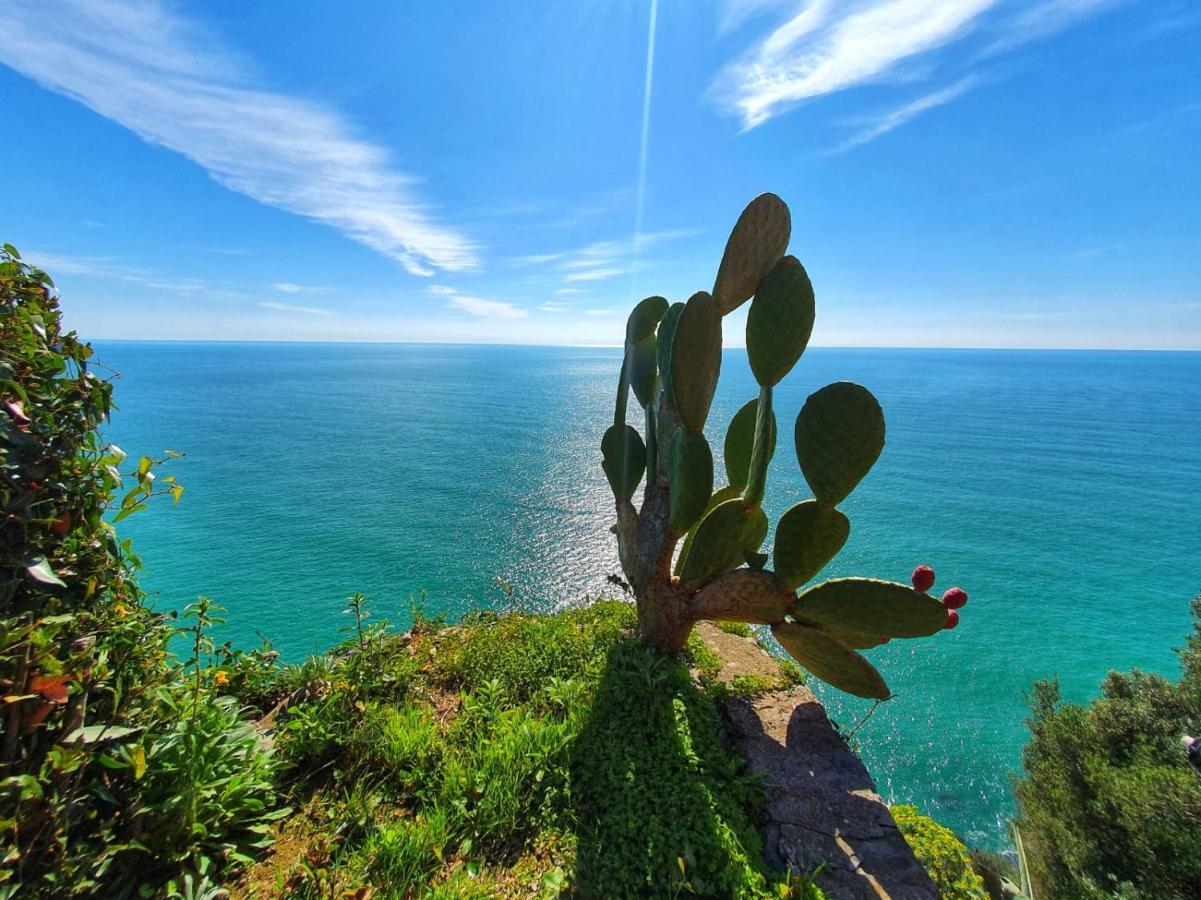 La Terrazza Sul Blu Appartement Corniglia Buitenkant foto