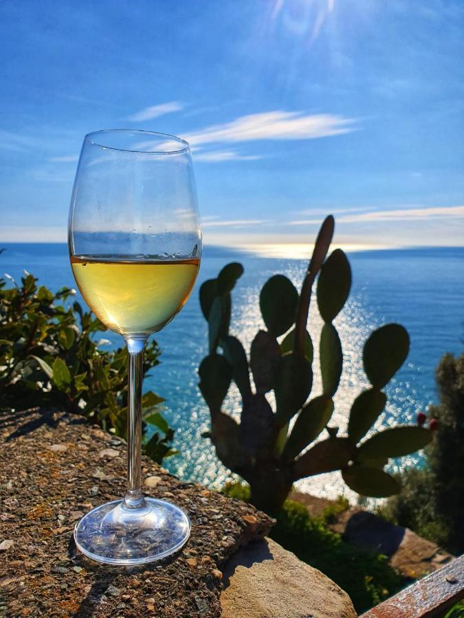 La Terrazza Sul Blu Appartement Corniglia Buitenkant foto