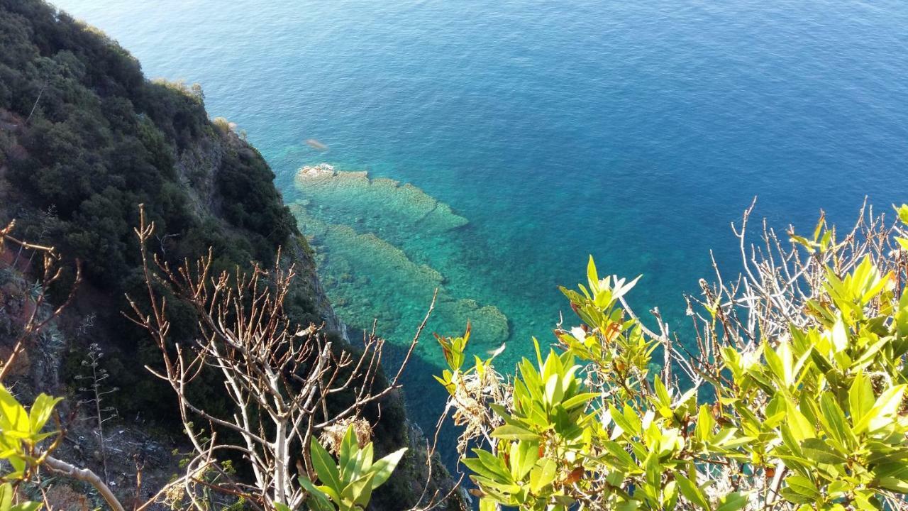 La Terrazza Sul Blu Appartement Corniglia Buitenkant foto