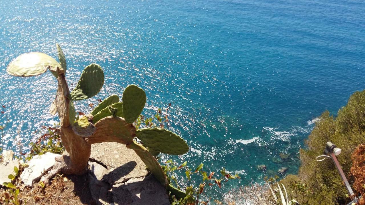 La Terrazza Sul Blu Appartement Corniglia Buitenkant foto